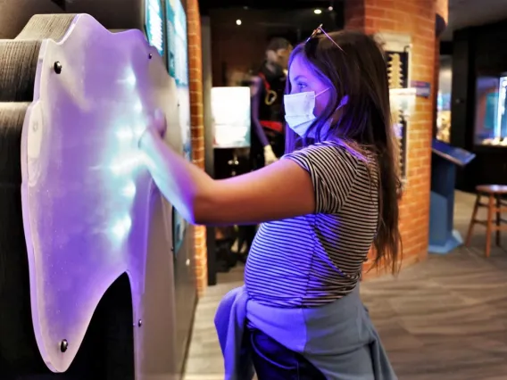 Sharks Exhibit Lights Child