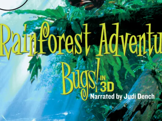 Bugs-poster