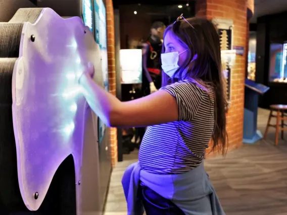 Sharks Exhibit Lights Child web