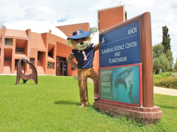 Wilbur the Wildcat in front of Flandrau Science Center and Planetarium in Tucson.