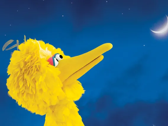 Big Bird One Sky Graphic