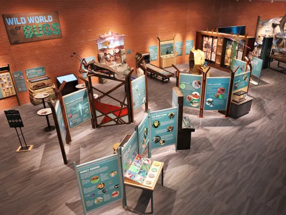 Science Exhibits at Flandrau