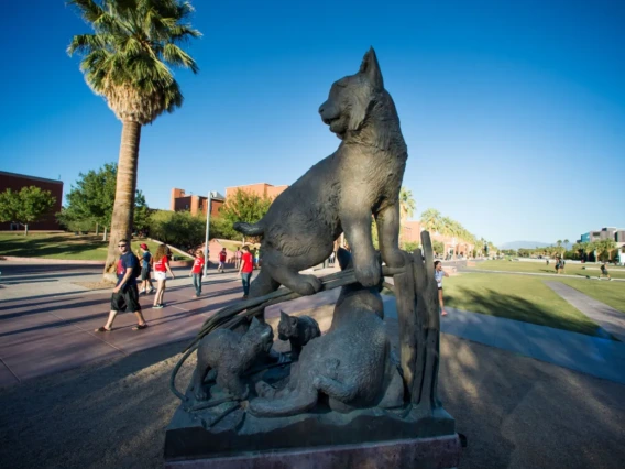 university of arizona statue