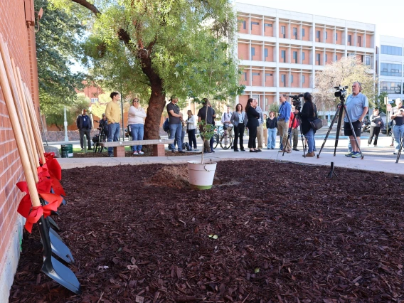 artemis I moon tree planting