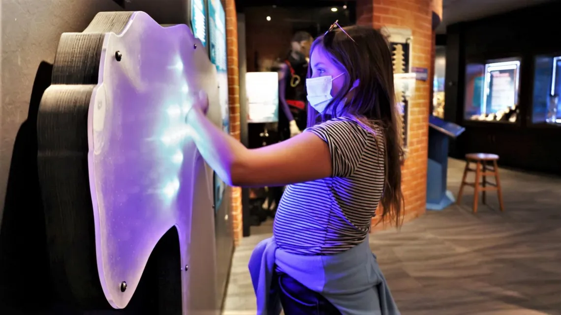 Sharks Exhibit Lights Child