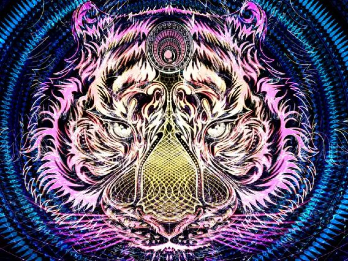 Art universe
