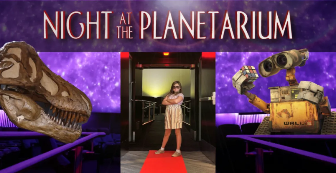 Night-at-the-Planetarium