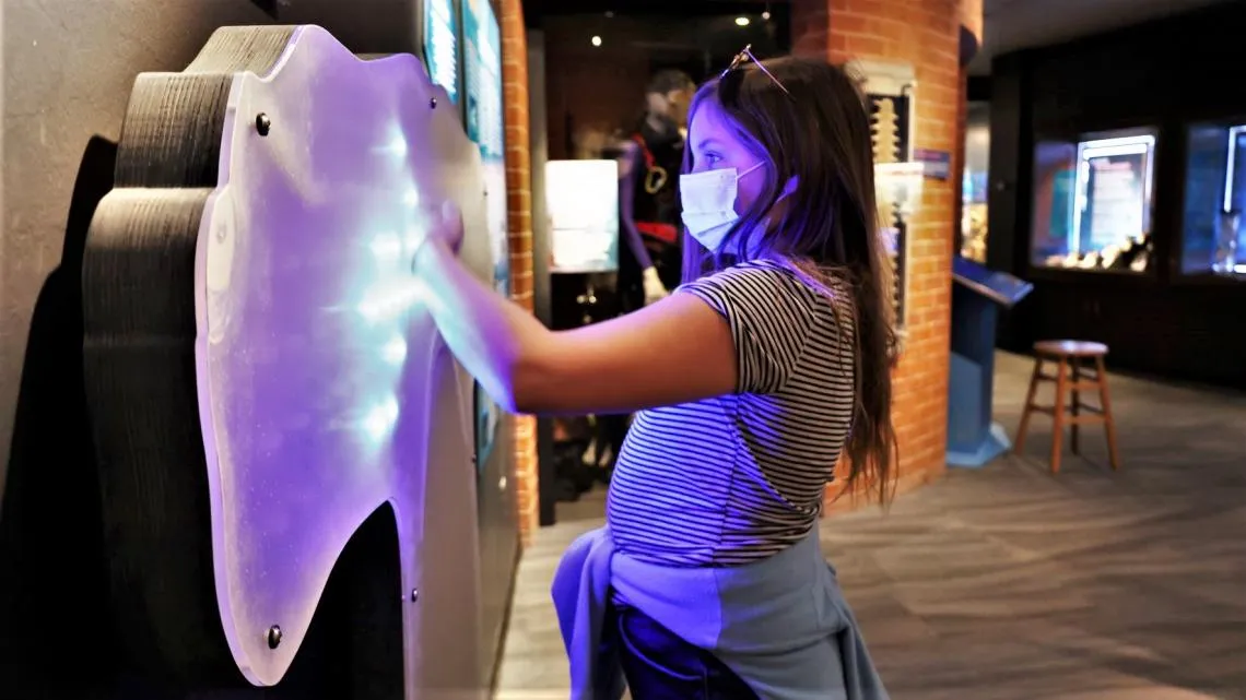 Sharks Exhibit Lights Child web