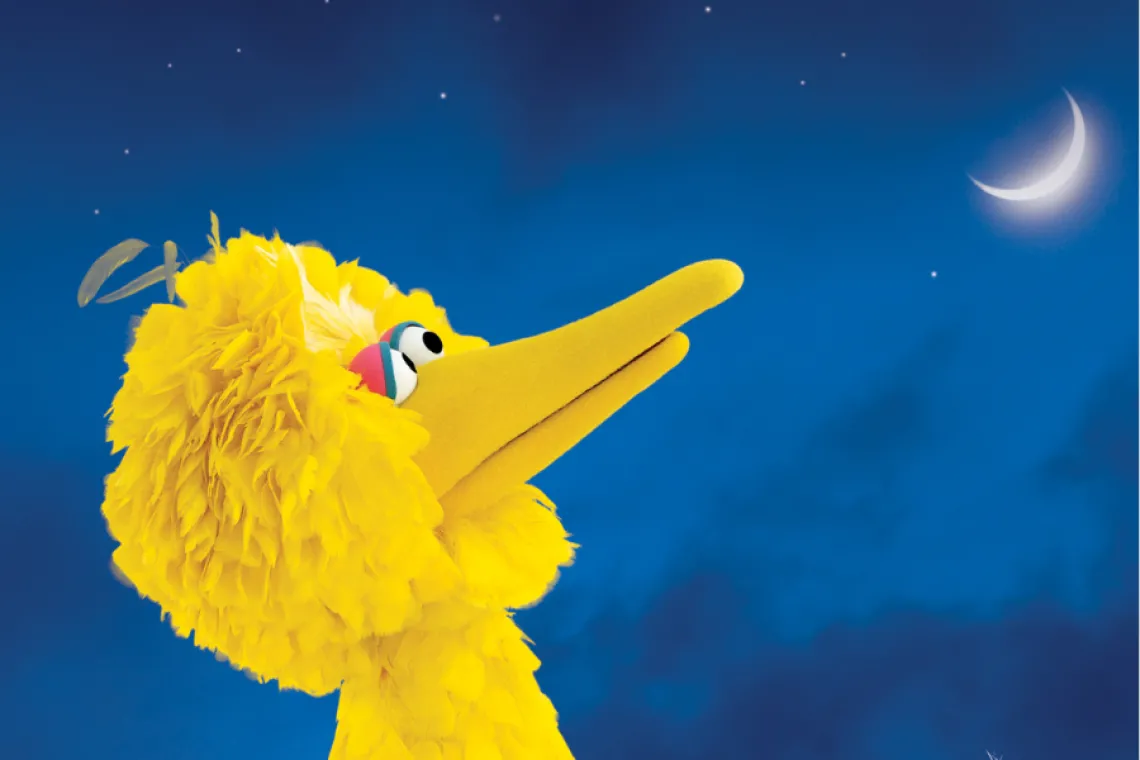 Big Bird One Sky Graphic