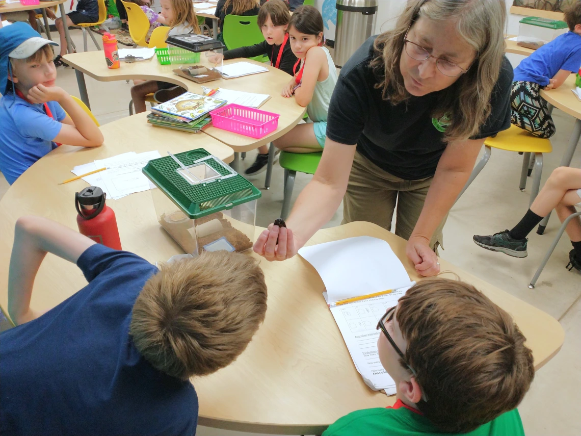 Entomology workshop at Flandrau