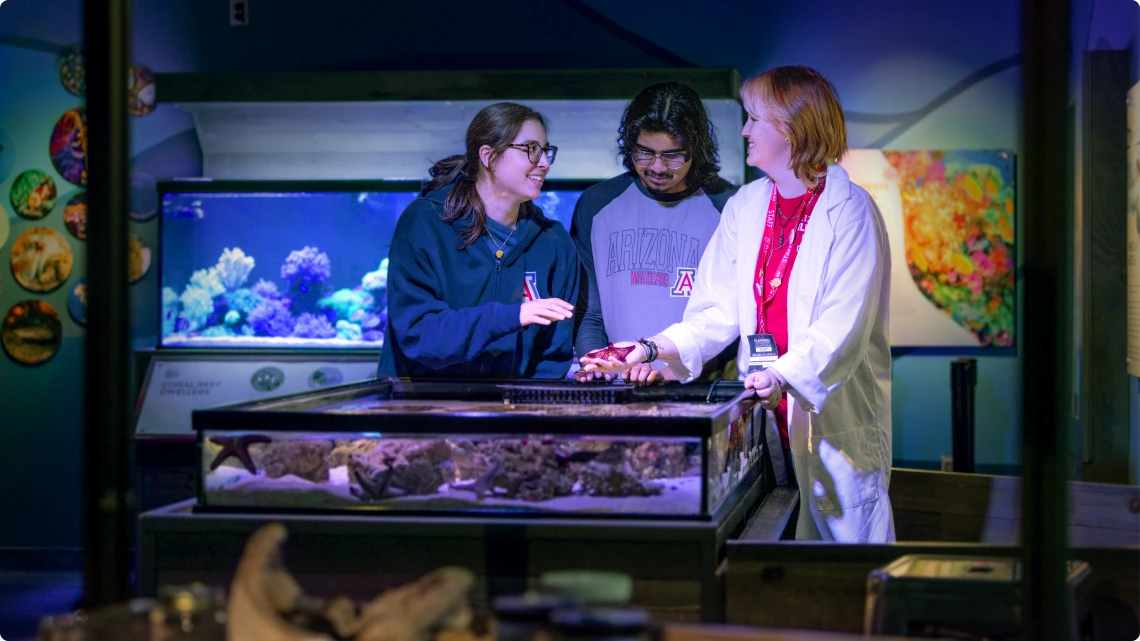 undersea disc 16x9 rounded edge