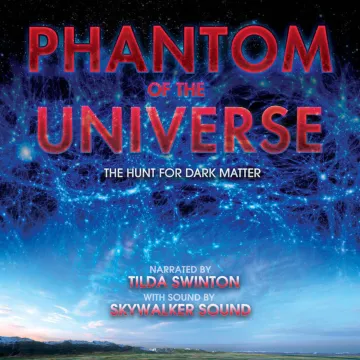 phantom of the universe