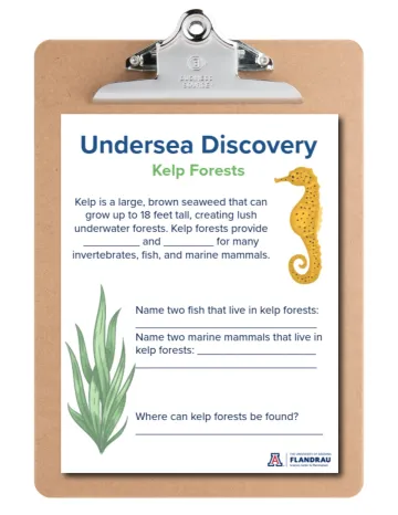 clipboard showing first page of undersea discovery packet