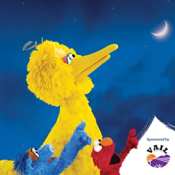 big bird 1x1