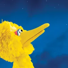 Big Bird One Sky Graphic