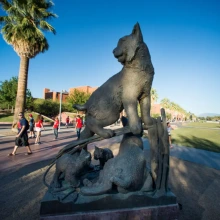 university of arizona statue